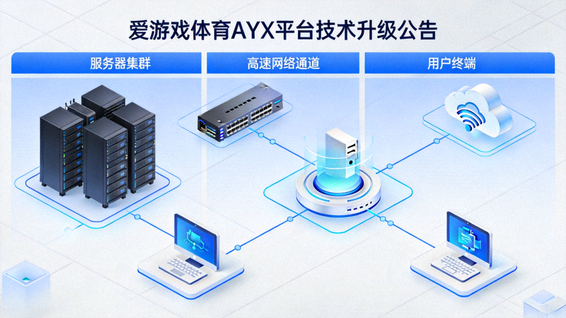 爱游戏体育AYX平台技术升级公告配图 - 服务器与网络连接示意图